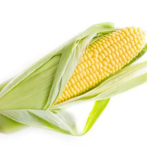 Jagung Manis