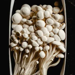 Jamur Enoki 3