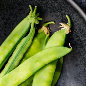 Kacang Kapri