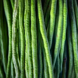 Kacang Panjang