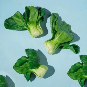 Pakcoy Fresh