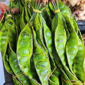 Petai Segar