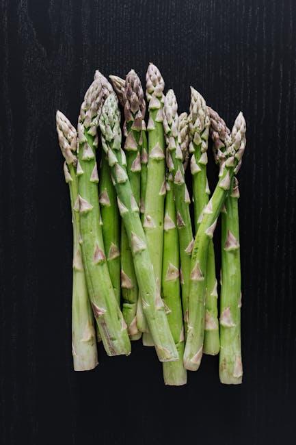 Budidaya Asparagus