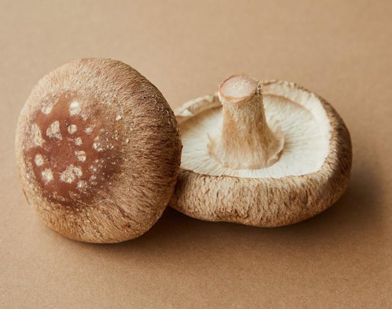 Jamur Shiitake